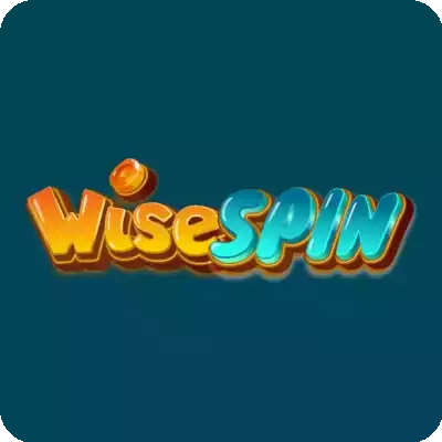 Wisespin Logo